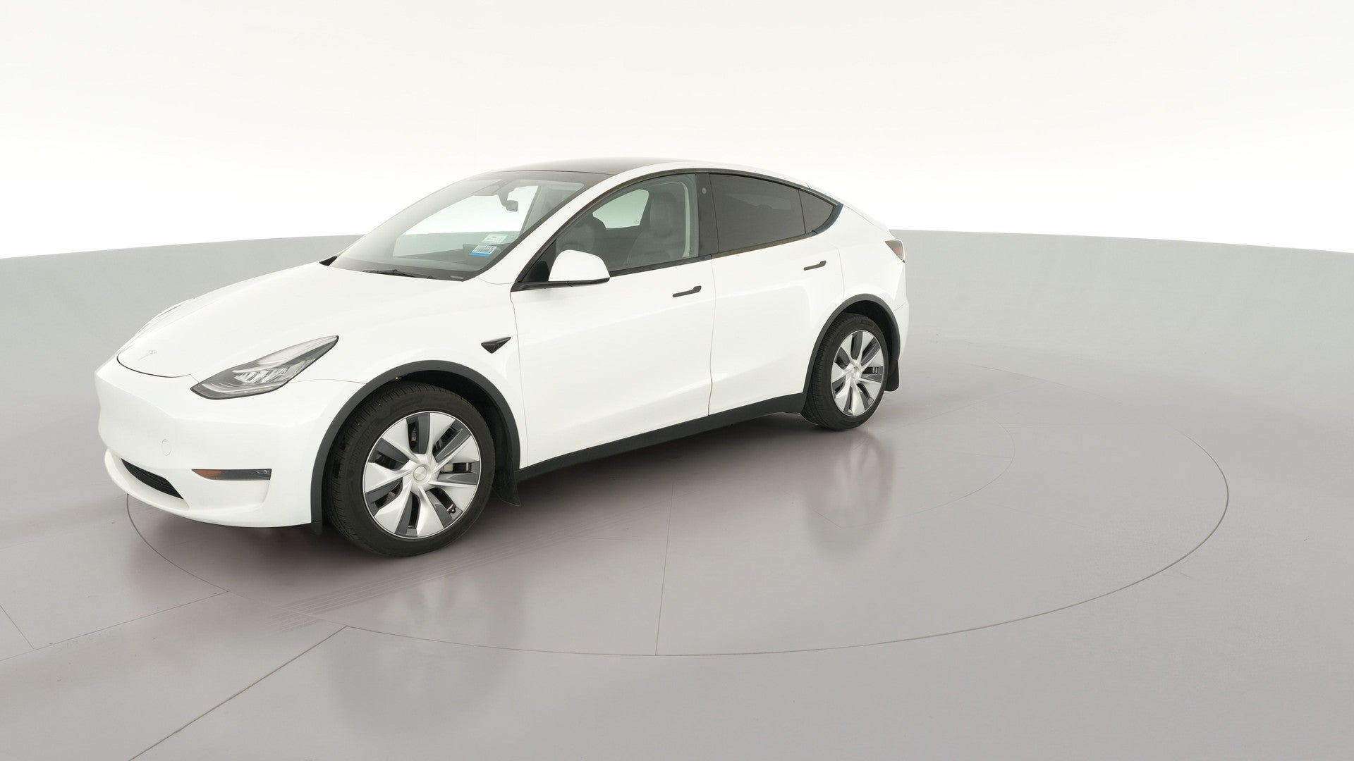 2023 Tesla Model Y vehicle photo