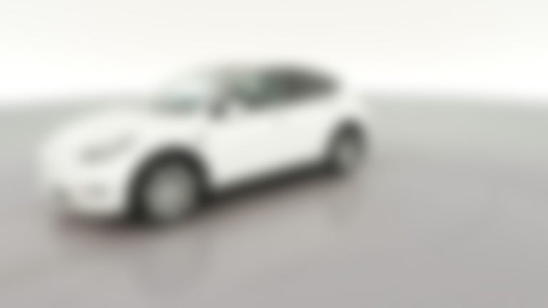 2023 Tesla Model Y vehicle photo
