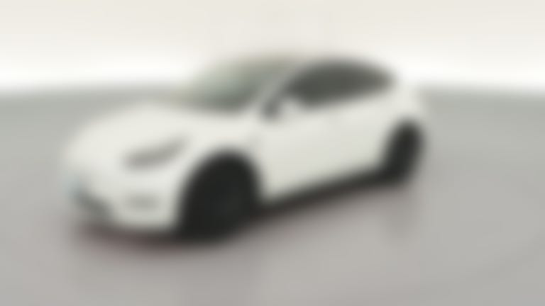 2023 Tesla Model Y vehicle photo