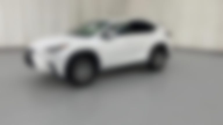 2019 Lexus NX vehicle photo