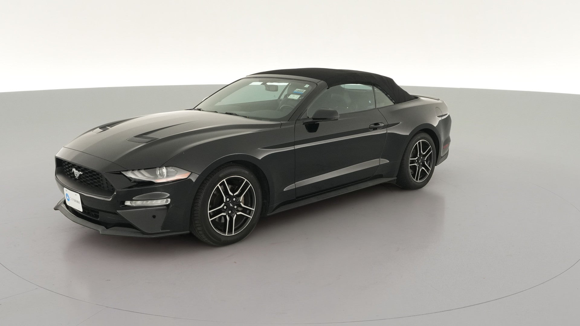 2019 Ford Mustang vehicle photo