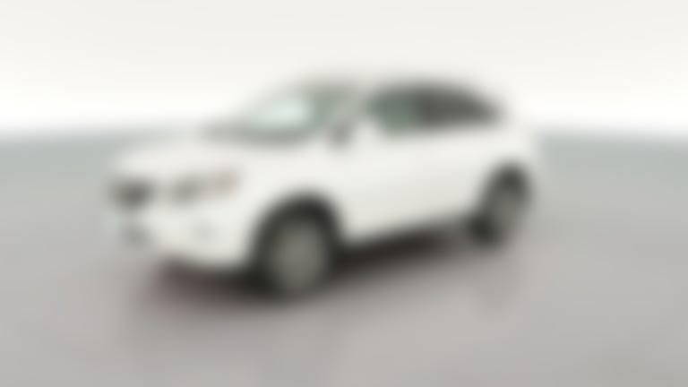 2013 Lexus RX vehicle photo
