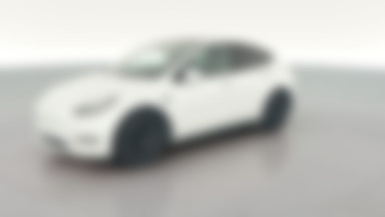 2021 Tesla Model Y vehicle photo