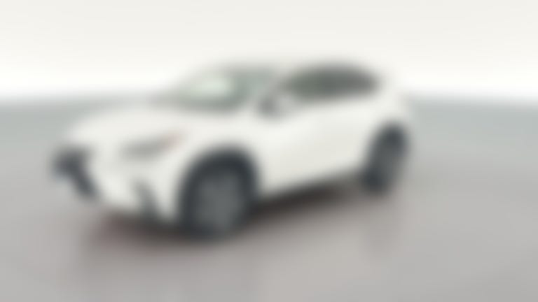 2019 Lexus NX vehicle photo