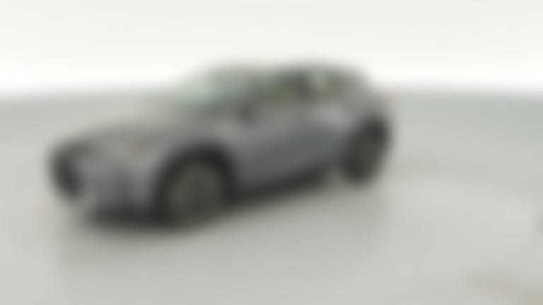 2019 Lexus UX vehicle photo