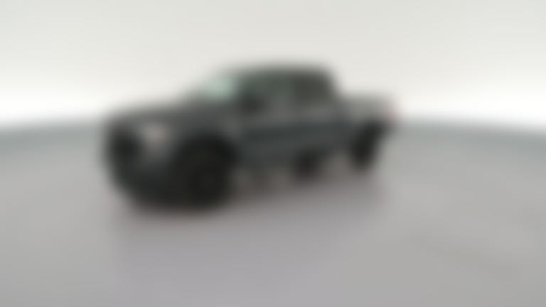 2021 Ford F250 Super Duty Crew Cab vehicle photo