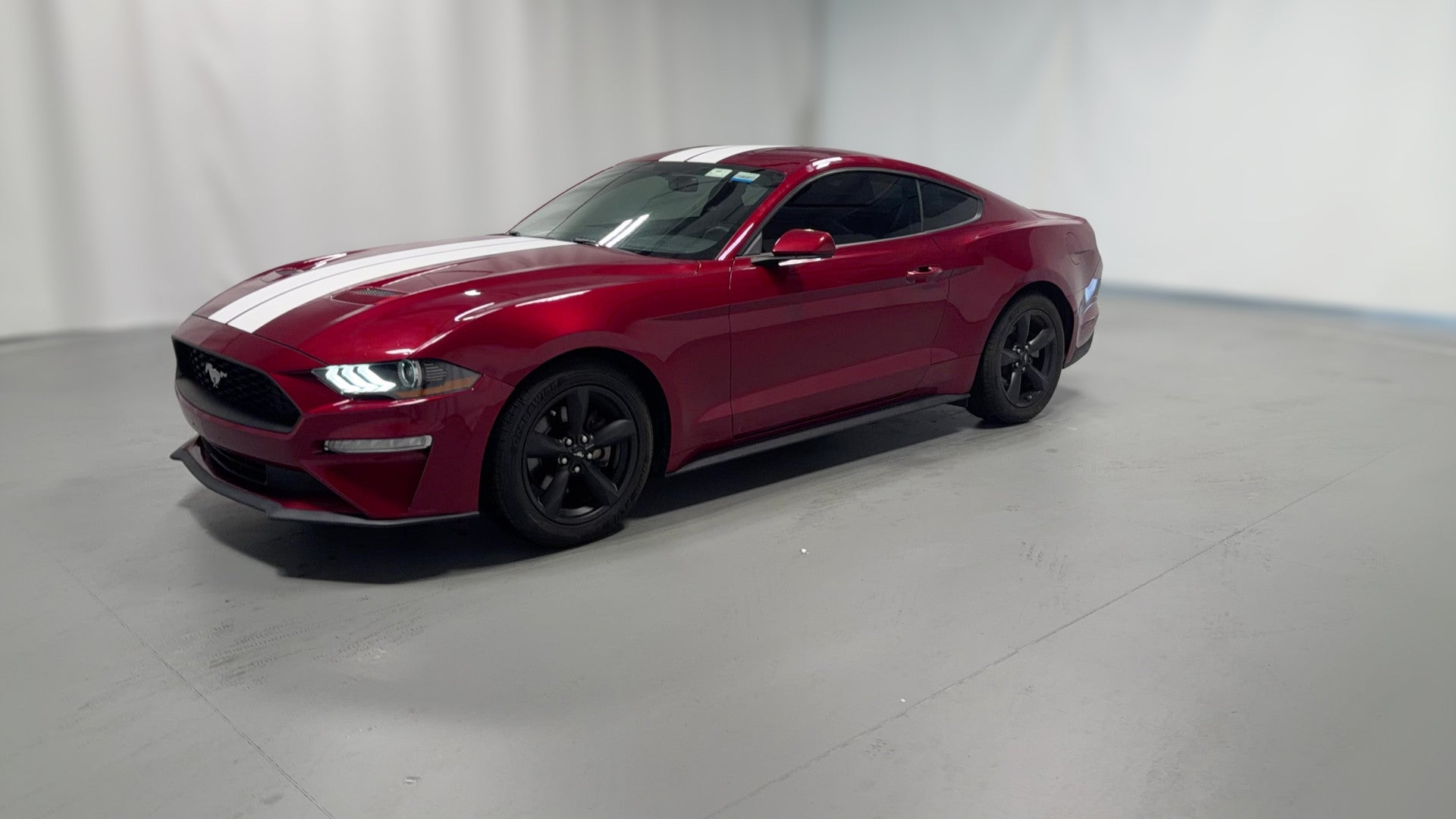 2019 Ford Mustang vehicle photo