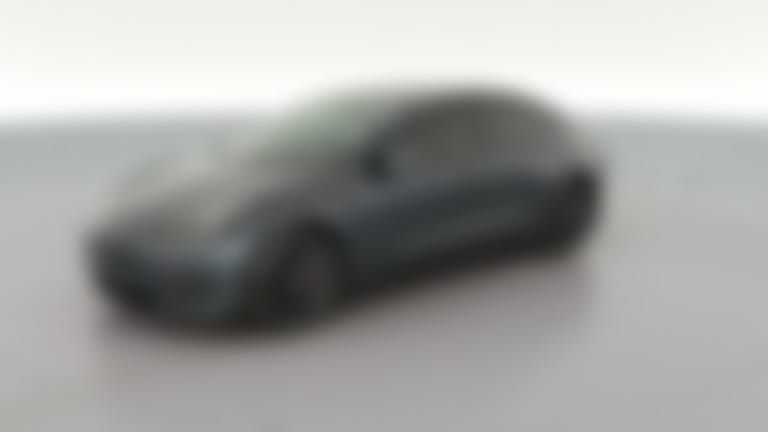 2021 Tesla Model 3 vehicle photo