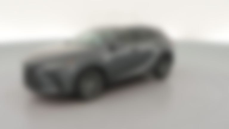 2024 Lexus RX vehicle photo