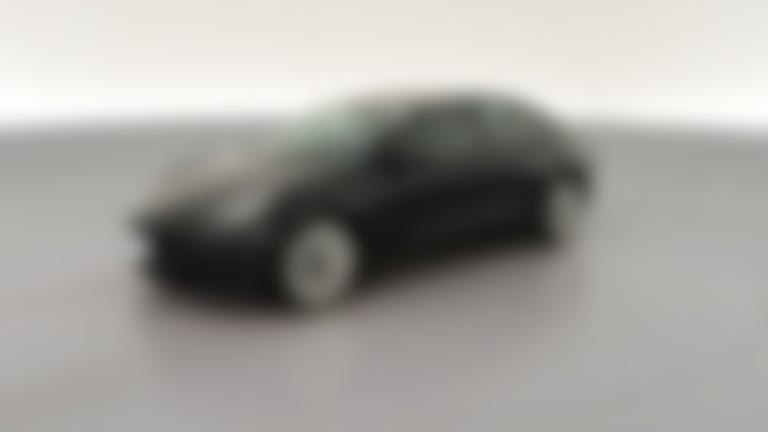 2021 Tesla Model 3 vehicle photo