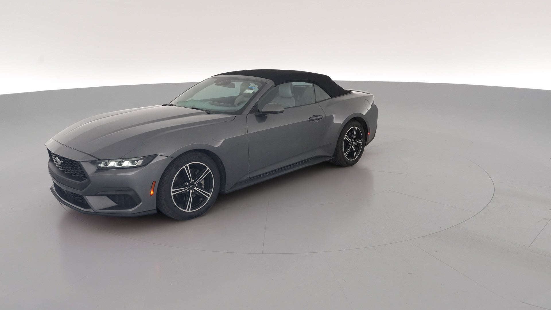 2024 Ford Mustang vehicle photo