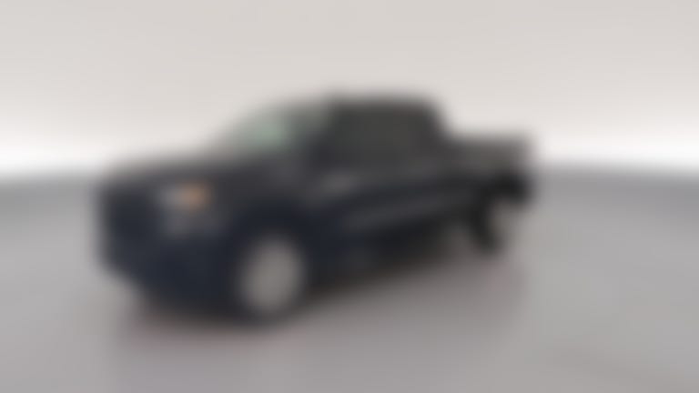 2020 Chevrolet Silverado 1500 Double Cab vehicle photo