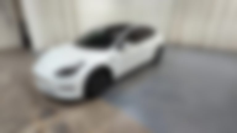 2021 Tesla Model 3 vehicle photo