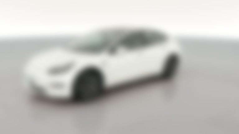 2021 Tesla Model 3 vehicle photo