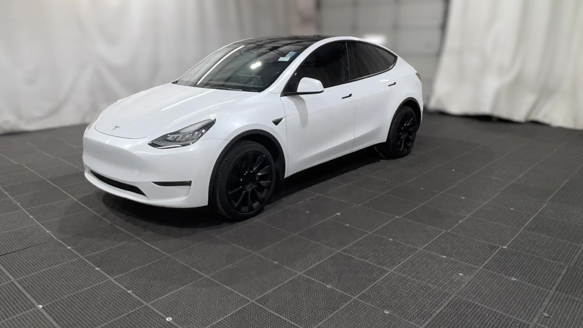 2023 Tesla Model Y vehicle photo