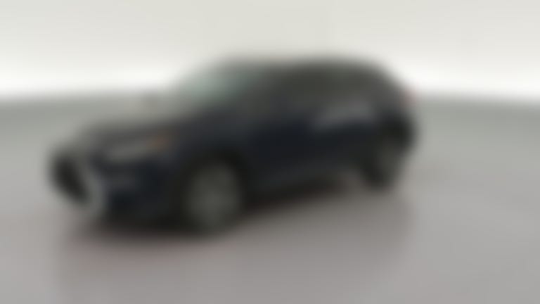 2019 Lexus RX vehicle photo