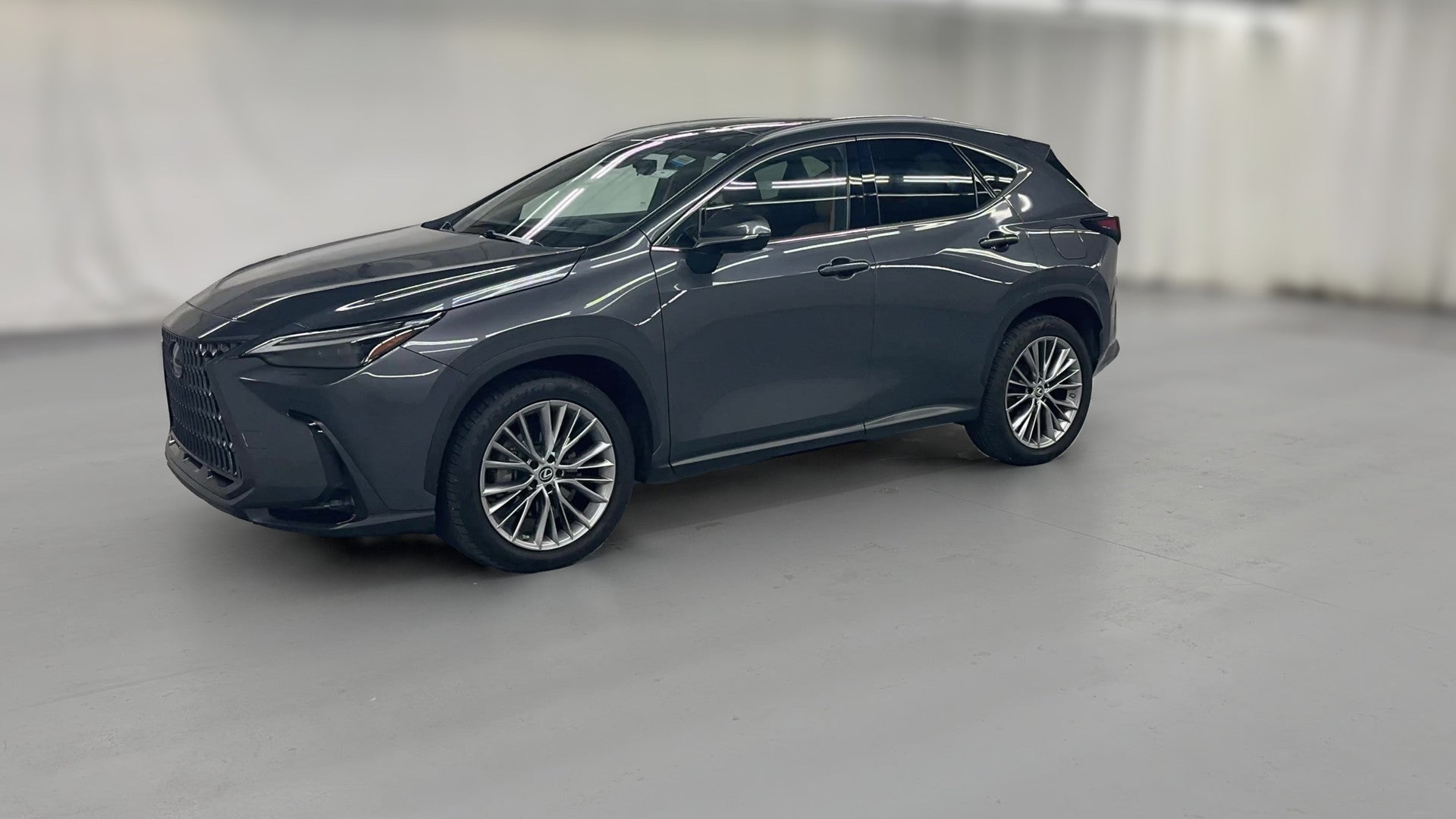 2022 Lexus NX vehicle photo