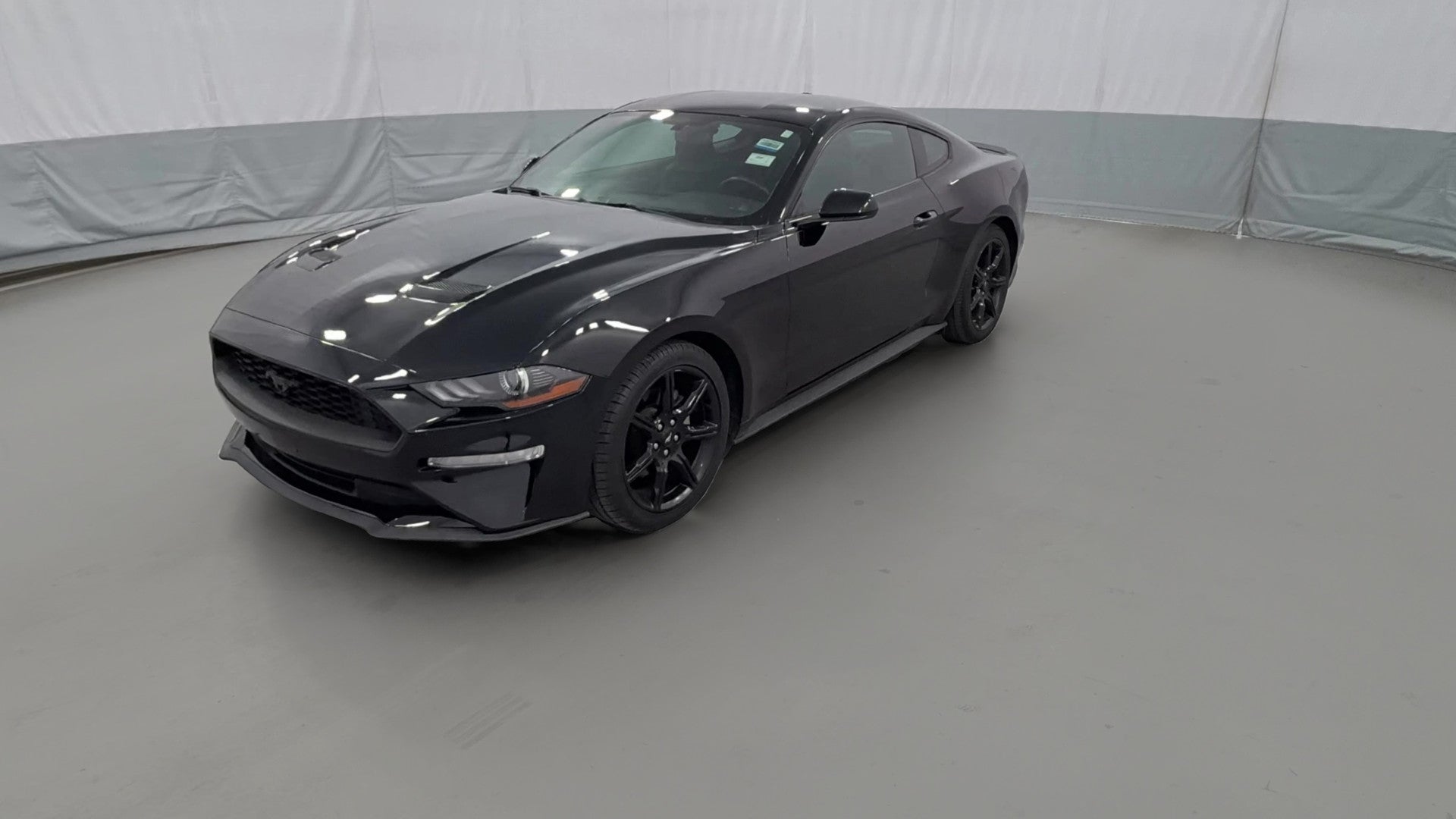 2019 Ford Mustang vehicle photo