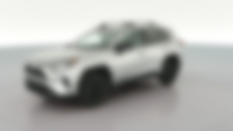 2019 Toyota RAV4 vehicle photo