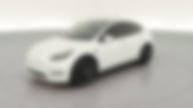 2023 Tesla Model Y vehicle photo