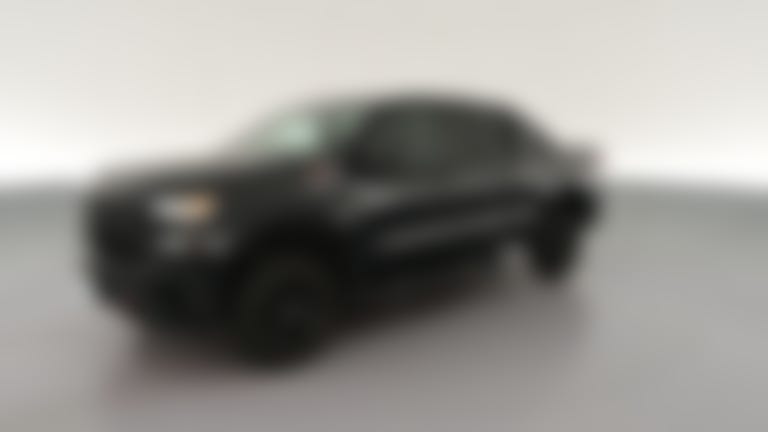 2019 Chevrolet Silverado 1500 Double Cab vehicle photo