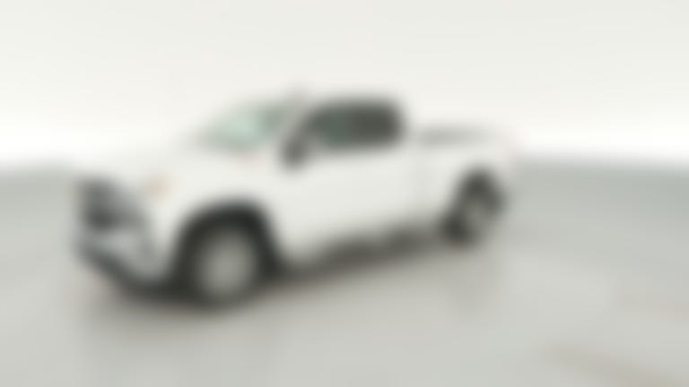 2019 Chevrolet Silverado 1500 Double Cab vehicle photo