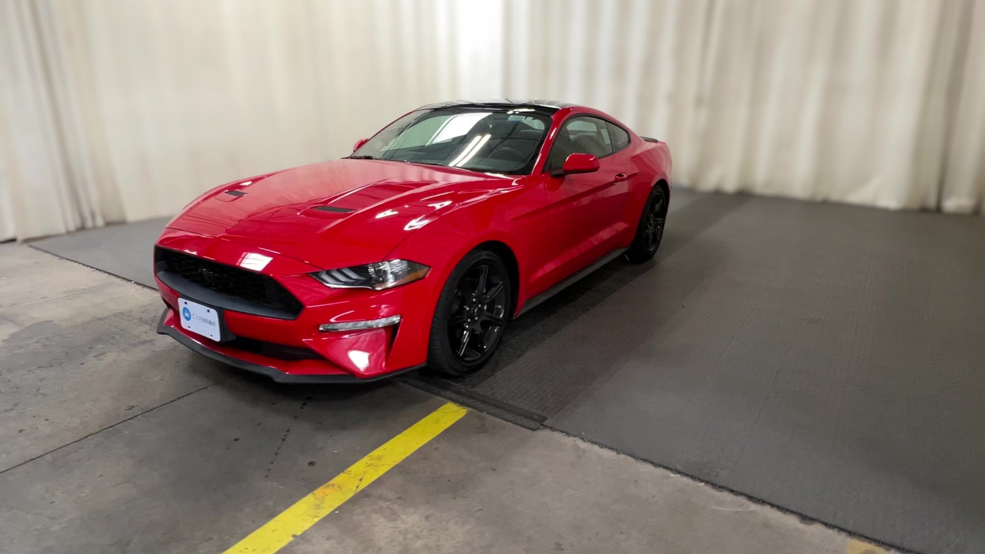 2019 Ford Mustang vehicle photo