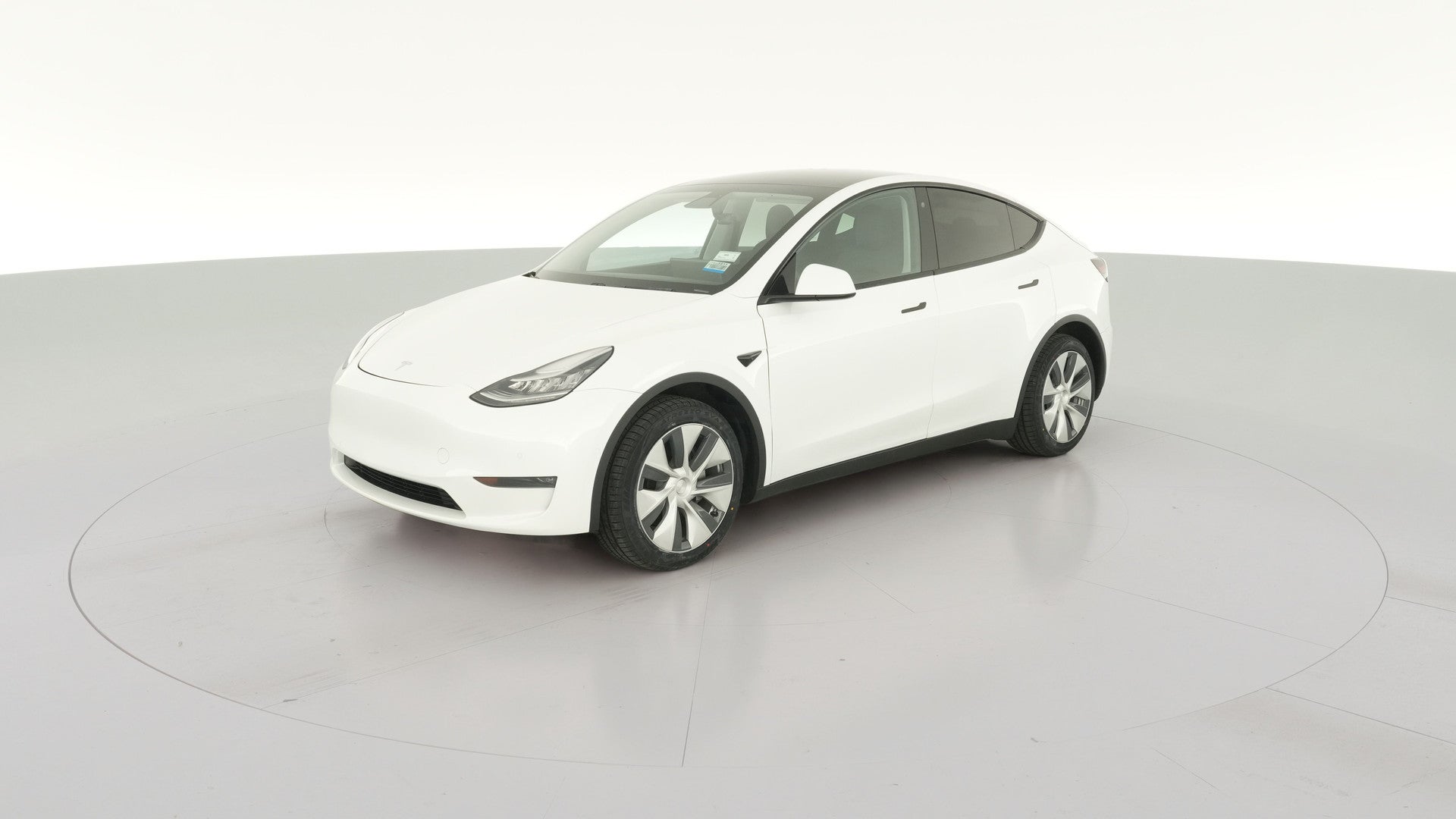 2020 Tesla Model Y vehicle photo