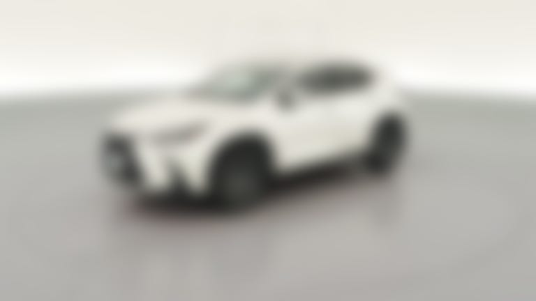 2024 Lexus NX vehicle photo