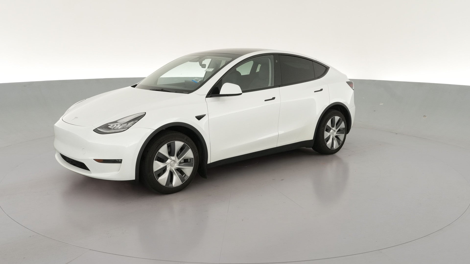 2023 Tesla Model Y vehicle photo