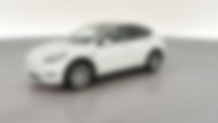 2023 Tesla Model Y vehicle photo