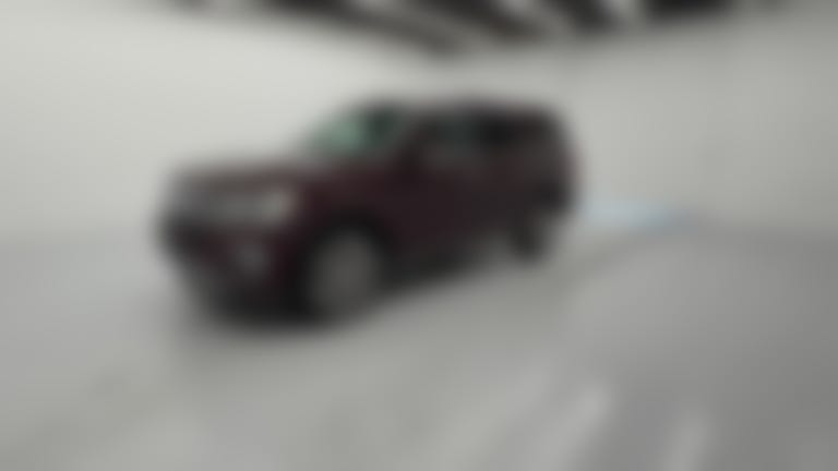 2020 Ford Expedition vehicle photo
