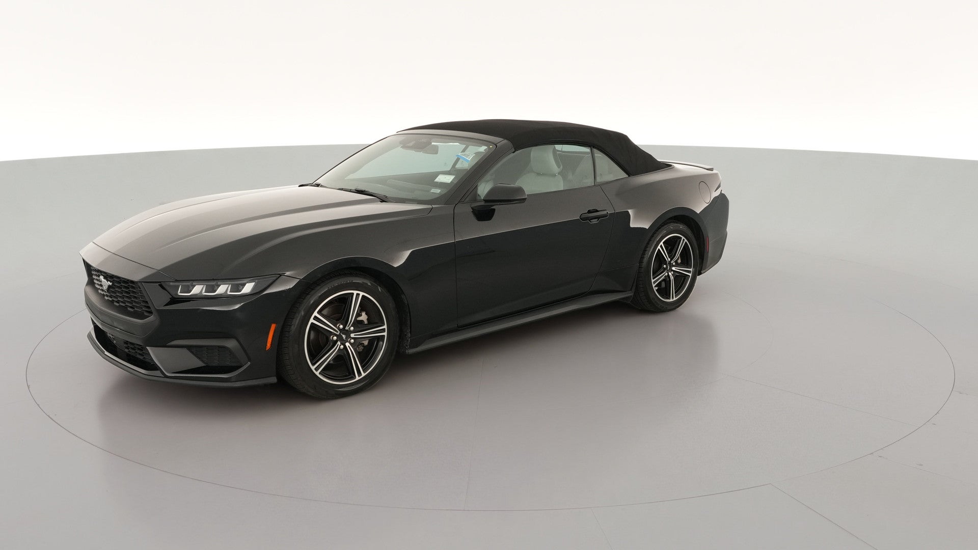 2024 Ford Mustang vehicle photo