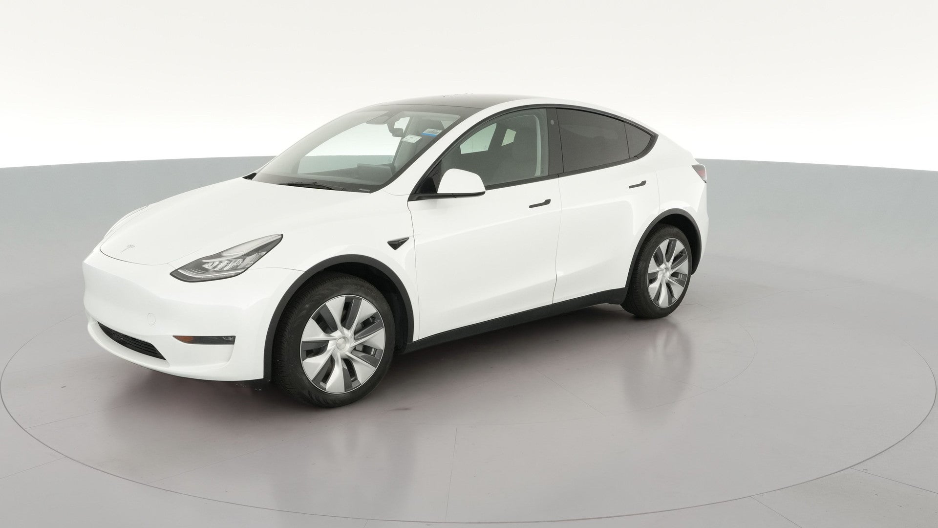2023 Tesla Model Y vehicle photo