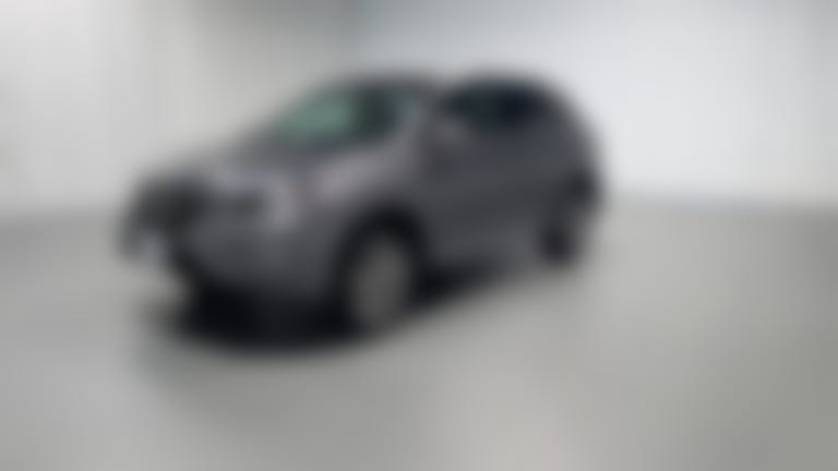 2013 Lexus RX vehicle photo