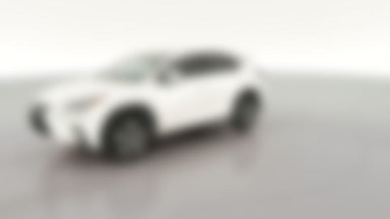 2019 Lexus NX vehicle photo