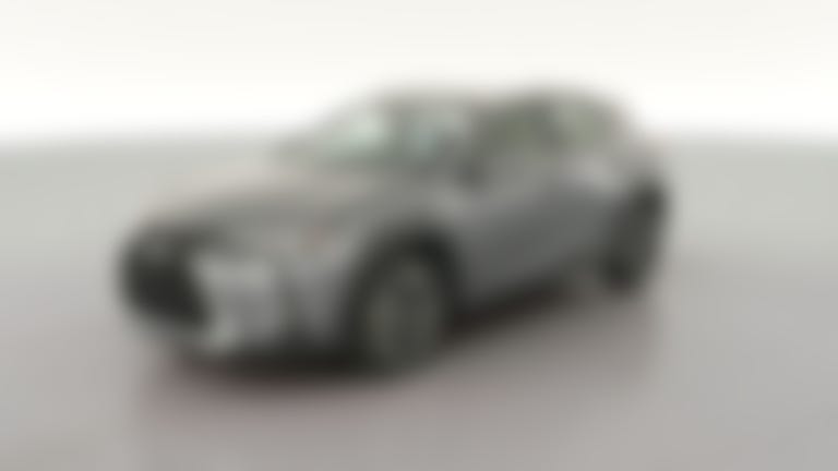 2020 Lexus UX vehicle photo