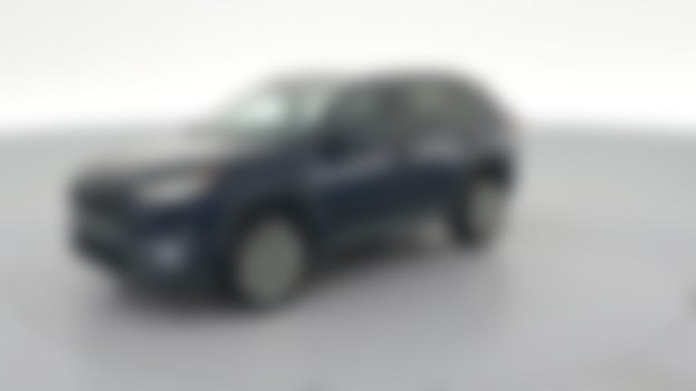 2019 Toyota RAV4 vehicle photo