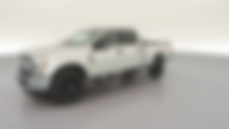 2018 Ford F250 Super Duty Crew Cab vehicle photo