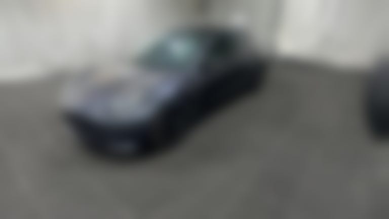 2021 Tesla Model 3 vehicle photo