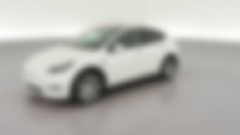 2021 Tesla Model Y vehicle photo