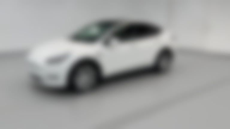 2021 Tesla Model Y vehicle photo