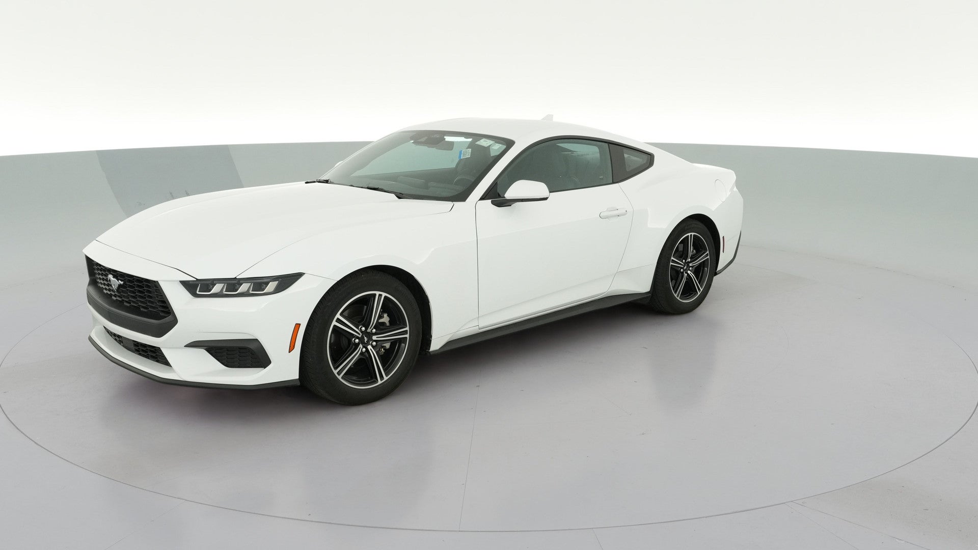 2024 Ford Mustang vehicle photo