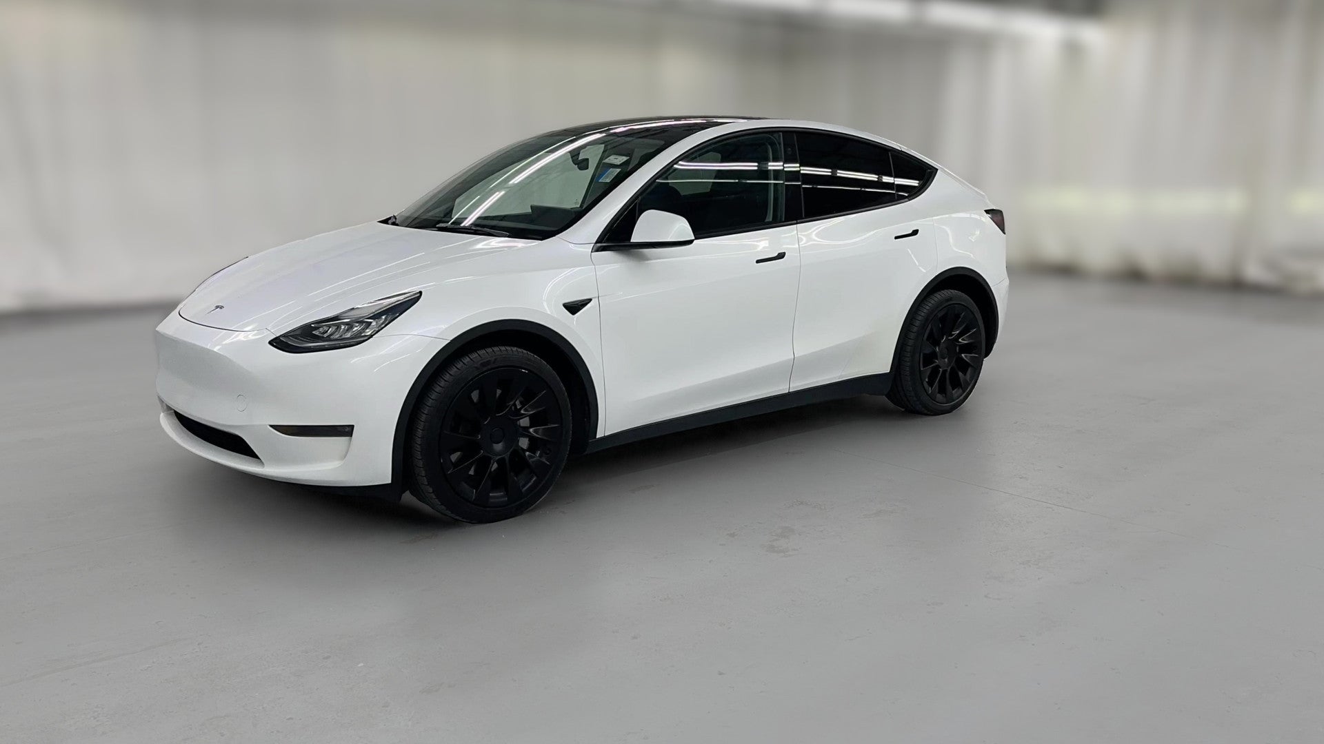 2023 Tesla Model Y vehicle photo