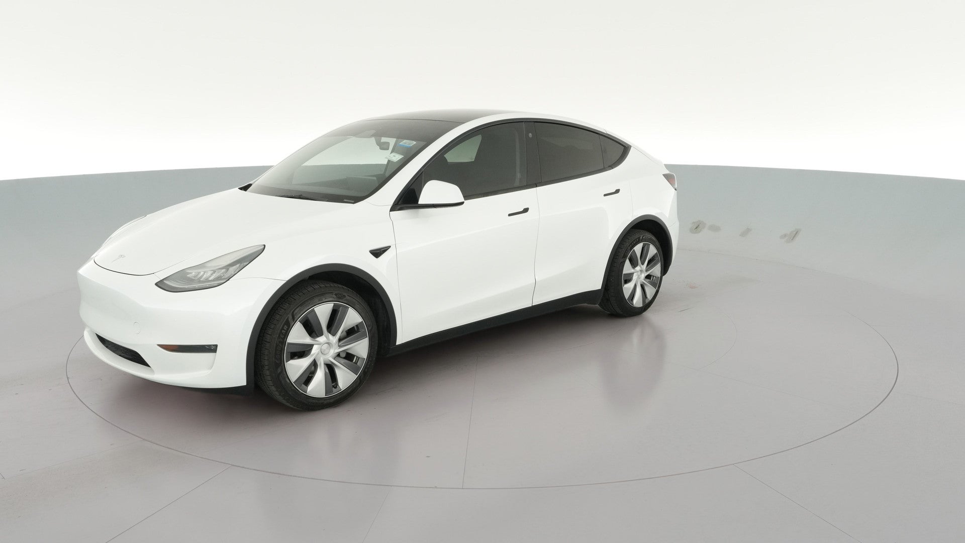 2023 Tesla Model Y vehicle photo