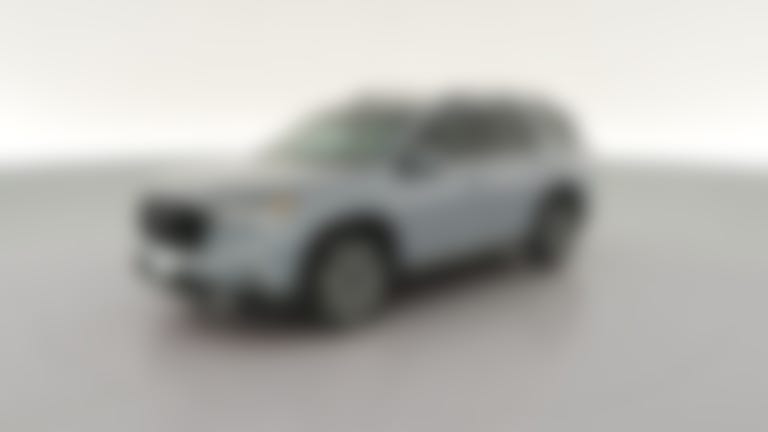 2025 Honda Pilot vehicle photo
