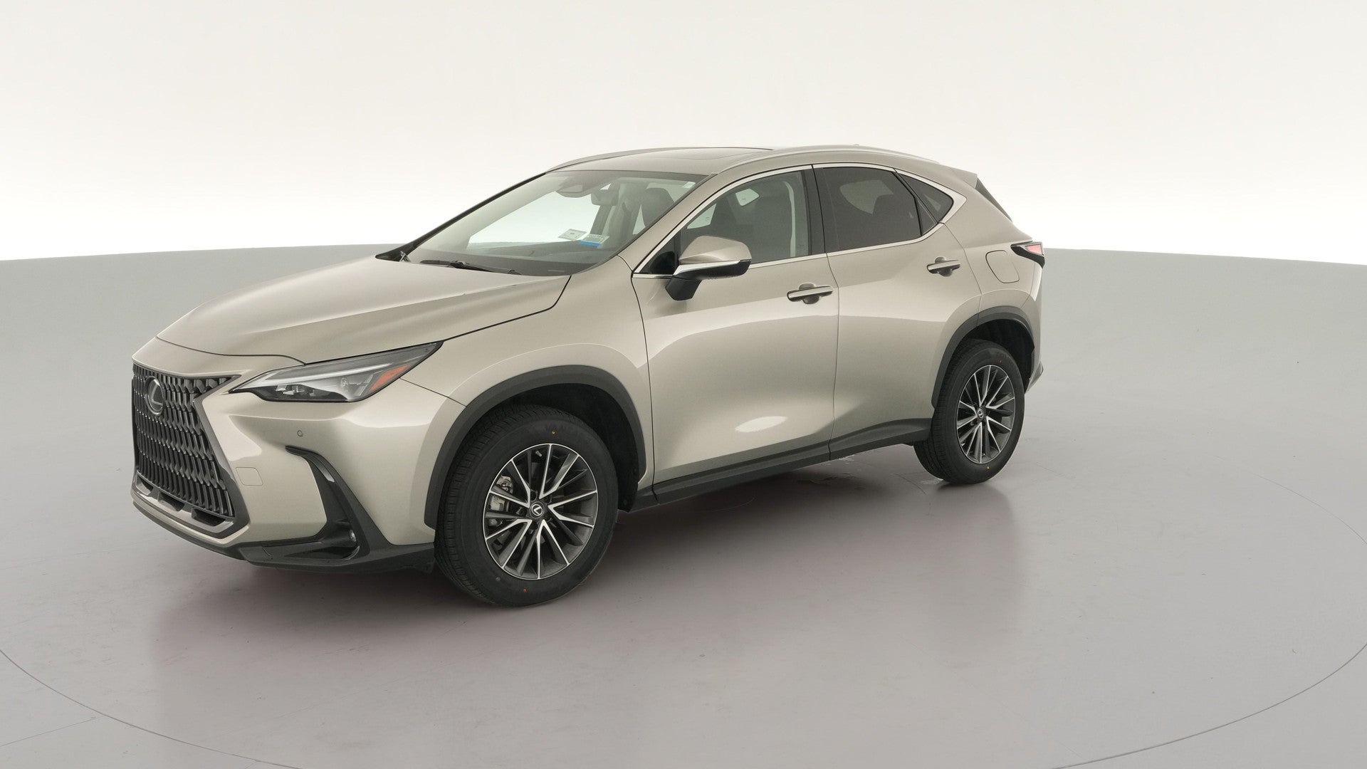 2023 Lexus NX vehicle photo