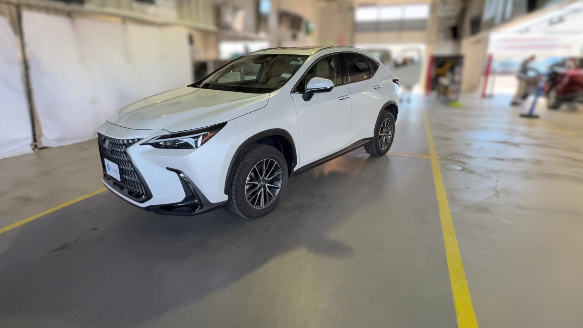 2025 Lexus NX vehicle photo