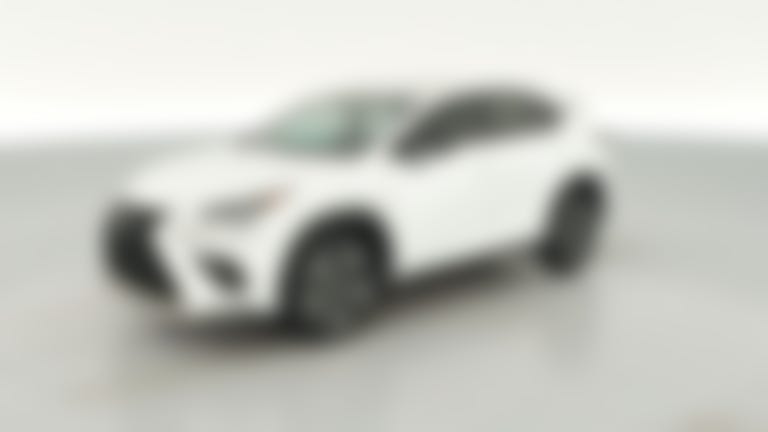 2019 Lexus NX vehicle photo