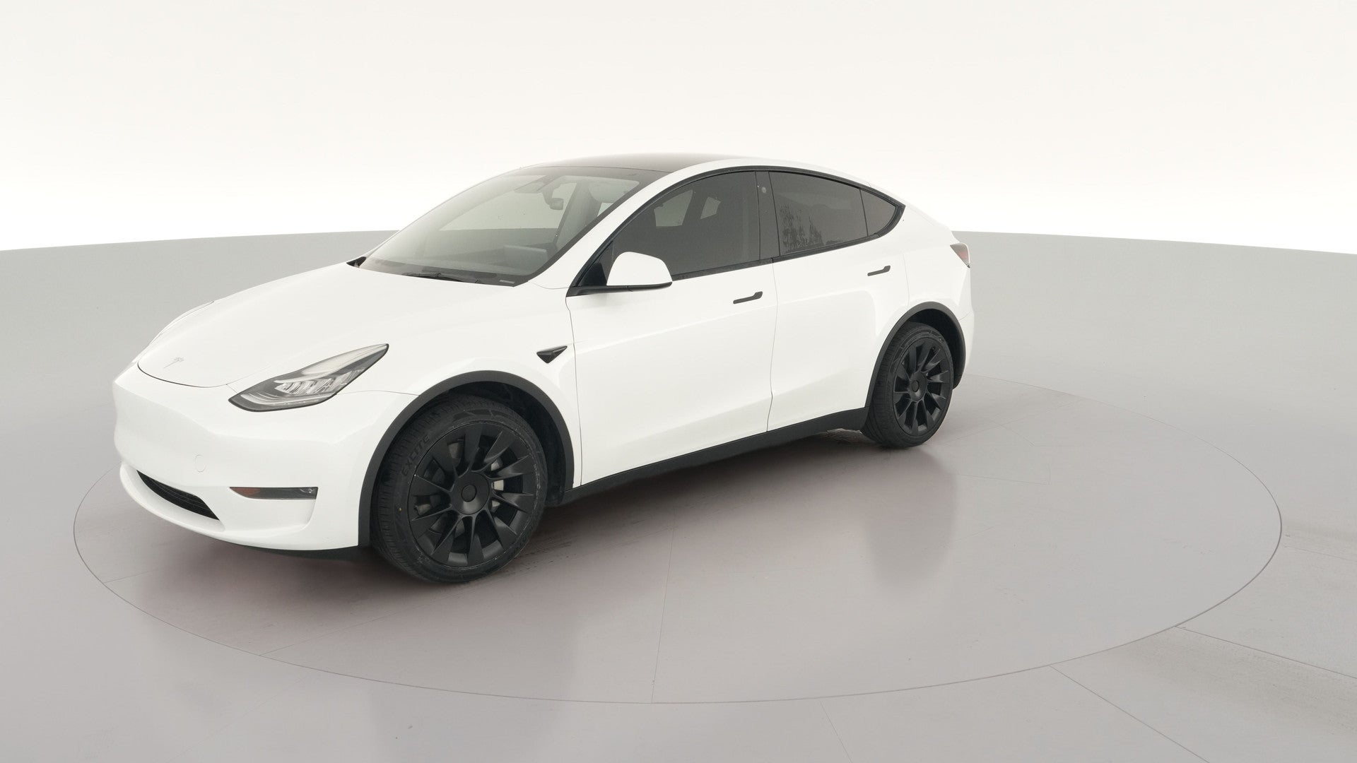 2023 Tesla Model Y vehicle photo